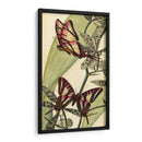 Barezosa Belleza Ii - Vision Studio | Cuadro decorativo de Canvas Lab