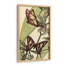 Barezosa Belleza Ii - Vision Studio | Cuadro decorativo de Canvas Lab