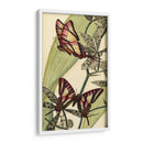 Barezosa Belleza Ii - Vision Studio | Cuadro decorativo de Canvas Lab