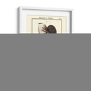 Conchas De Mar Vi - Denis Diderot | Cuadro decorativo de Canvas Lab