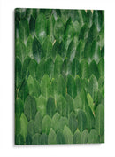 Repetición de hoja | Cuadro decorativo de Canvas Lab