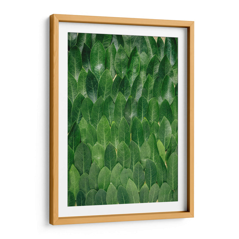 Repetición de hoja | Cuadro decorativo de Canvas Lab