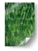 Repetición de hoja | Cuadro decorativo de Canvas Lab