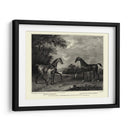 King Herodes Y Hijos Voladores - John Scott | Cuadro decorativo de Canvas Lab