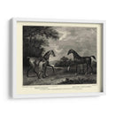 King Herodes Y Hijos Voladores - John Scott | Cuadro decorativo de Canvas Lab