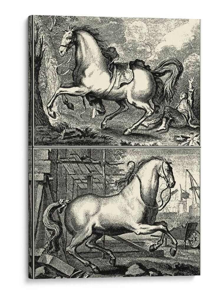 Caballos Galopantes I | Cuadro decorativo de Canvas Lab