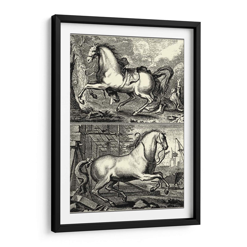 Caballos Galopantes I | Cuadro decorativo de Canvas Lab