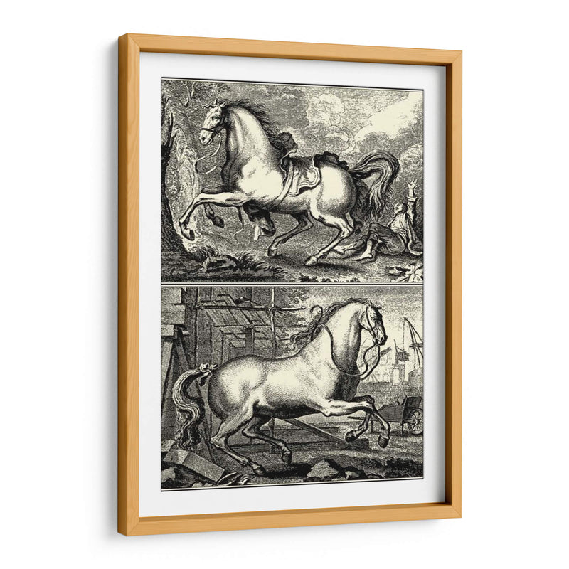 Caballos Galopantes I | Cuadro decorativo de Canvas Lab