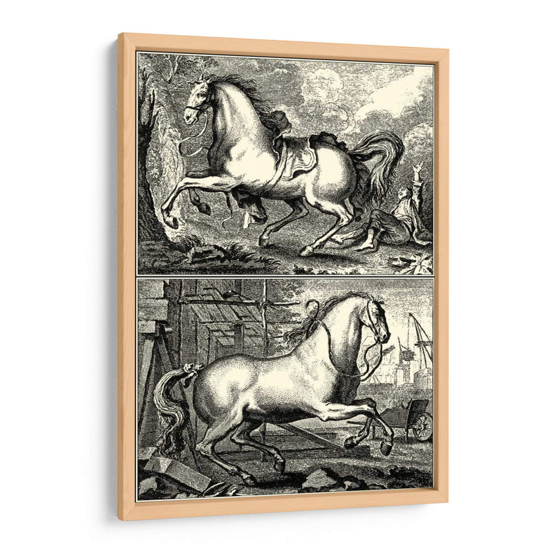 Caballos Galopantes I | Cuadro decorativo de Canvas Lab