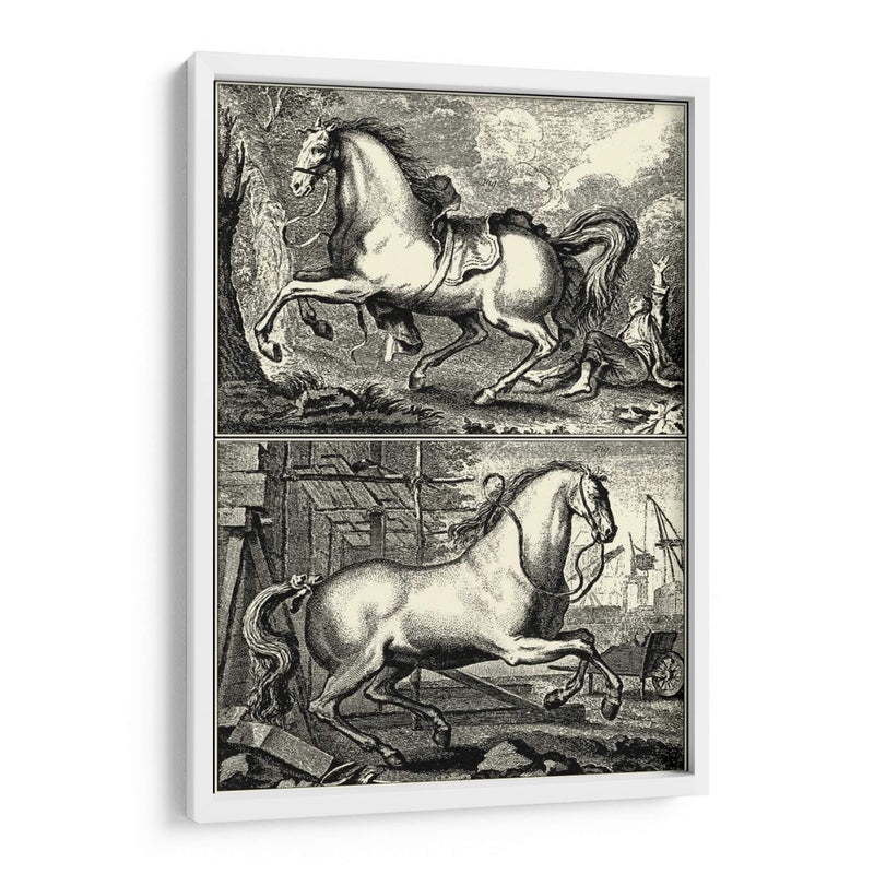 Caballos Galopantes I | Cuadro decorativo de Canvas Lab