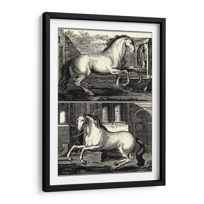 Caballos Galopantes Ii | Cuadro decorativo de Canvas Lab