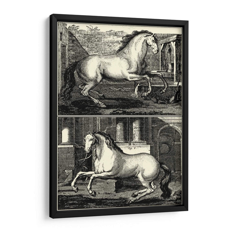 Caballos Galopantes Ii | Cuadro decorativo de Canvas Lab