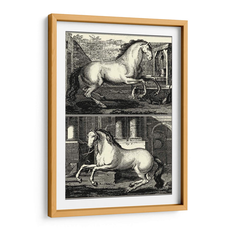 Caballos Galopantes Ii | Cuadro decorativo de Canvas Lab