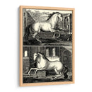 Caballos Galopantes Ii | Cuadro decorativo de Canvas Lab