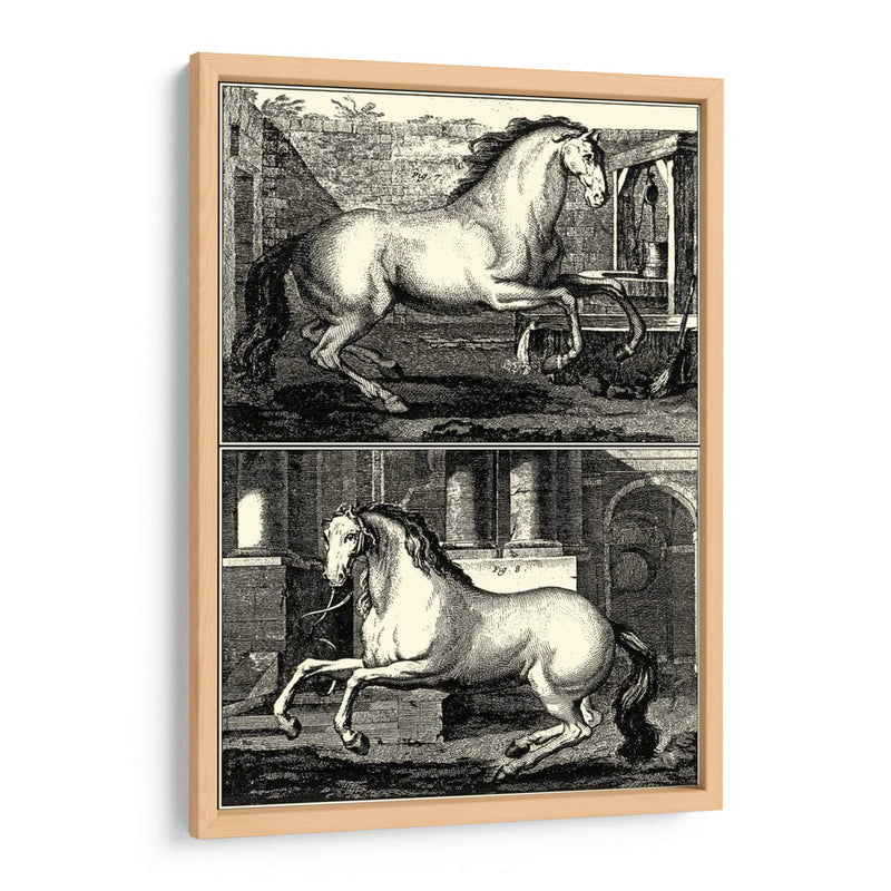 Caballos Galopantes Ii | Cuadro decorativo de Canvas Lab