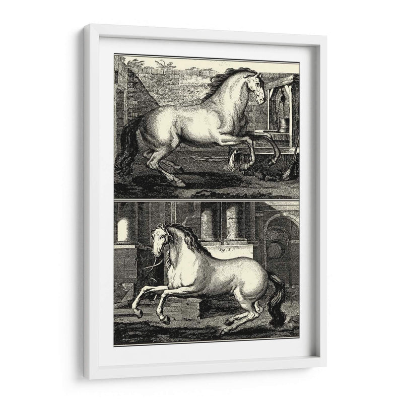 Caballos Galopantes Ii | Cuadro decorativo de Canvas Lab