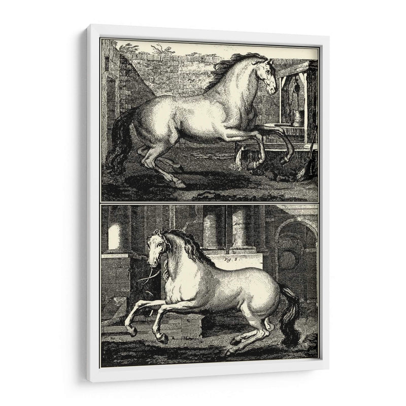 Caballos Galopantes Ii | Cuadro decorativo de Canvas Lab