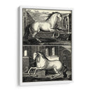 Caballos Galopantes Ii | Cuadro decorativo de Canvas Lab