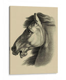 Retrato Ecuestre Iii - Vision Studio | Cuadro decorativo de Canvas Lab