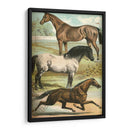 Johnsons Horse Greas I - Henry J. Johnson | Cuadro decorativo de Canvas Lab