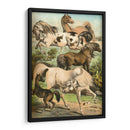 Johnsons Horse Greas Ii - Henry J. Johnson | Cuadro decorativo de Canvas Lab