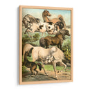 Johnsons Horse Greas Ii - Henry J. Johnson | Cuadro decorativo de Canvas Lab