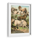 Johnsons Horse Greas Ii - Henry J. Johnson | Cuadro decorativo de Canvas Lab