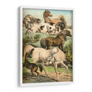 Johnsons Horse Greas Ii - Henry J. Johnson | Cuadro decorativo de Canvas Lab
