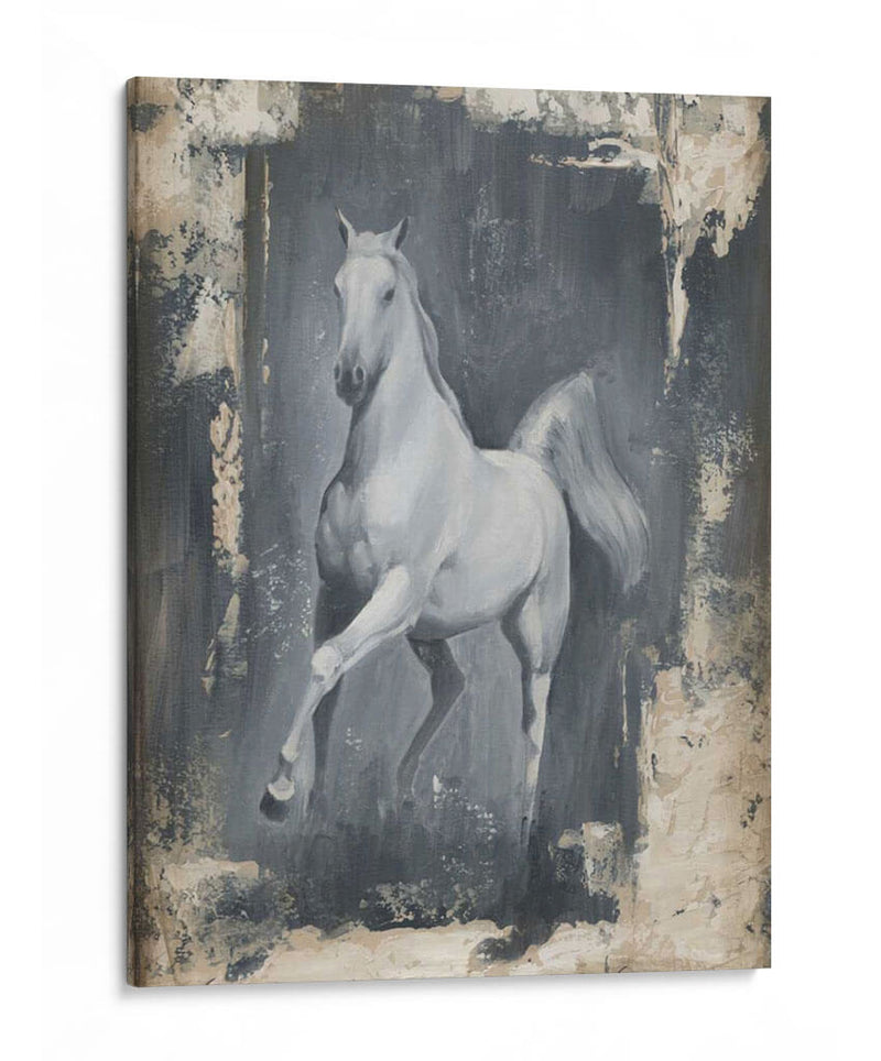 Corriendo Stallion Ii - Ethan Harper | Cuadro decorativo de Canvas Lab