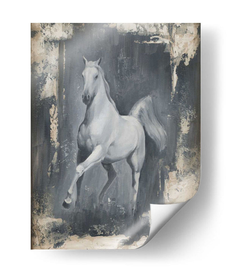 Corriendo Stallion Ii - Ethan Harper | Cuadro decorativo de Canvas Lab