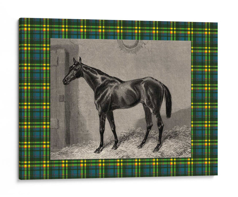Plaid Ecuestre Ii - E. Hacker | Cuadro decorativo de Canvas Lab