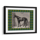 Plaid Ecuestre Ii - E. Hacker | Cuadro decorativo de Canvas Lab