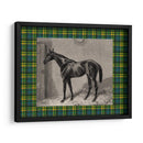 Plaid Ecuestre Ii - E. Hacker | Cuadro decorativo de Canvas Lab