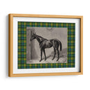 Plaid Ecuestre Ii - E. Hacker | Cuadro decorativo de Canvas Lab