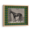 Plaid Ecuestre Ii - E. Hacker | Cuadro decorativo de Canvas Lab