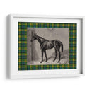 Plaid Ecuestre Ii - E. Hacker | Cuadro decorativo de Canvas Lab