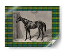 Plaid Ecuestre Ii - E. Hacker | Cuadro decorativo de Canvas Lab