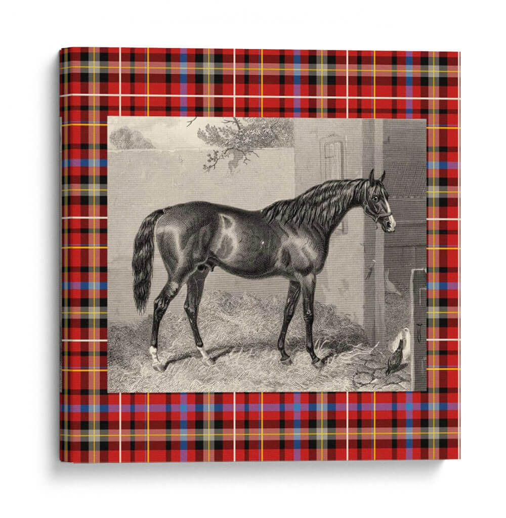 Plaid Ecuestre Iii - E. Hacker | Cuadro decorativo de Canvas Lab