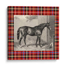 Plaid Ecuestre Iii - E. Hacker | Cuadro decorativo de Canvas Lab