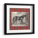 Plaid Ecuestre Iii - E. Hacker | Cuadro decorativo de Canvas Lab
