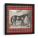 Plaid Ecuestre Iii - E. Hacker | Cuadro decorativo de Canvas Lab