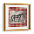 Plaid Ecuestre Iii - E. Hacker | Cuadro decorativo de Canvas Lab