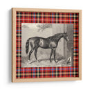 Plaid Ecuestre Iii - E. Hacker | Cuadro decorativo de Canvas Lab