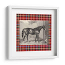 Plaid Ecuestre Iii - E. Hacker | Cuadro decorativo de Canvas Lab