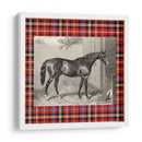 Plaid Ecuestre Iii - E. Hacker | Cuadro decorativo de Canvas Lab