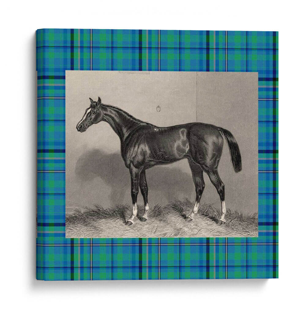 Plaid Ecuestre Iv - E. Hacker | Cuadro decorativo de Canvas Lab