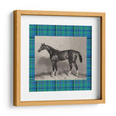 Plaid Ecuestre Iv - E. Hacker | Cuadro decorativo de Canvas Lab