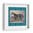 Plaid Ecuestre Iv - E. Hacker | Cuadro decorativo de Canvas Lab