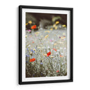 Amapolas silvestres | Cuadro decorativo de Canvas Lab