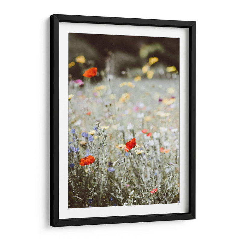 Amapolas silvestres | Cuadro decorativo de Canvas Lab